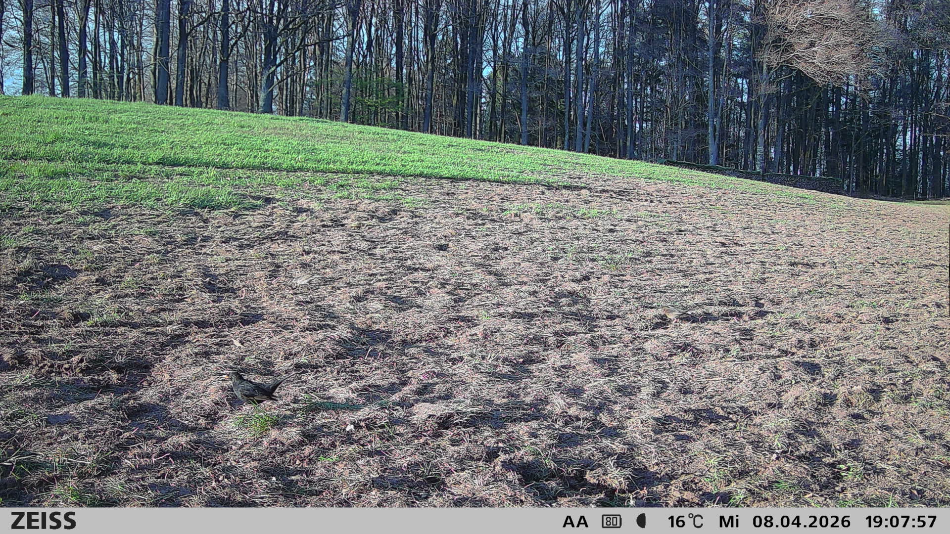 Ecke Watterbach