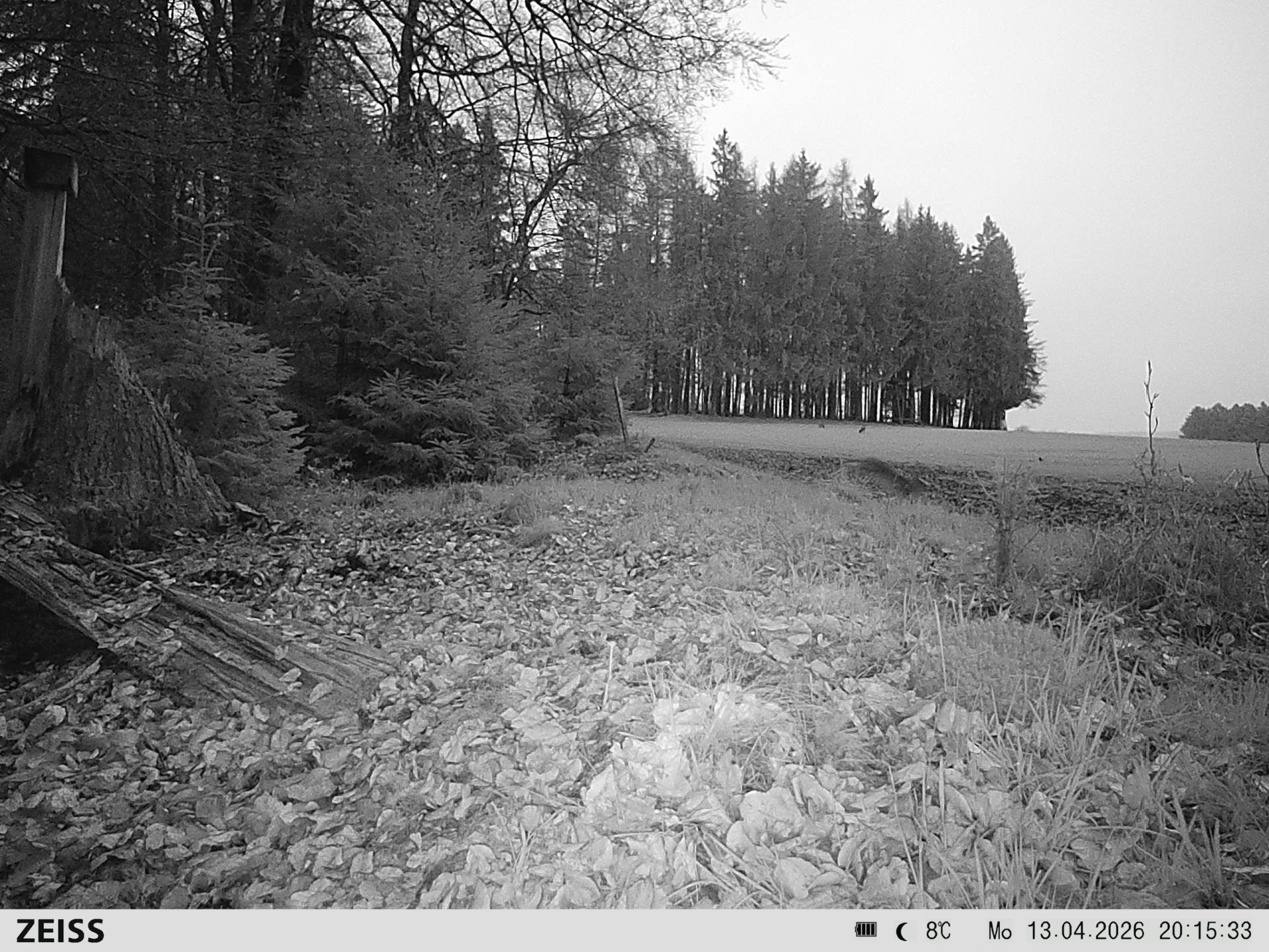 DEF Salzlecke