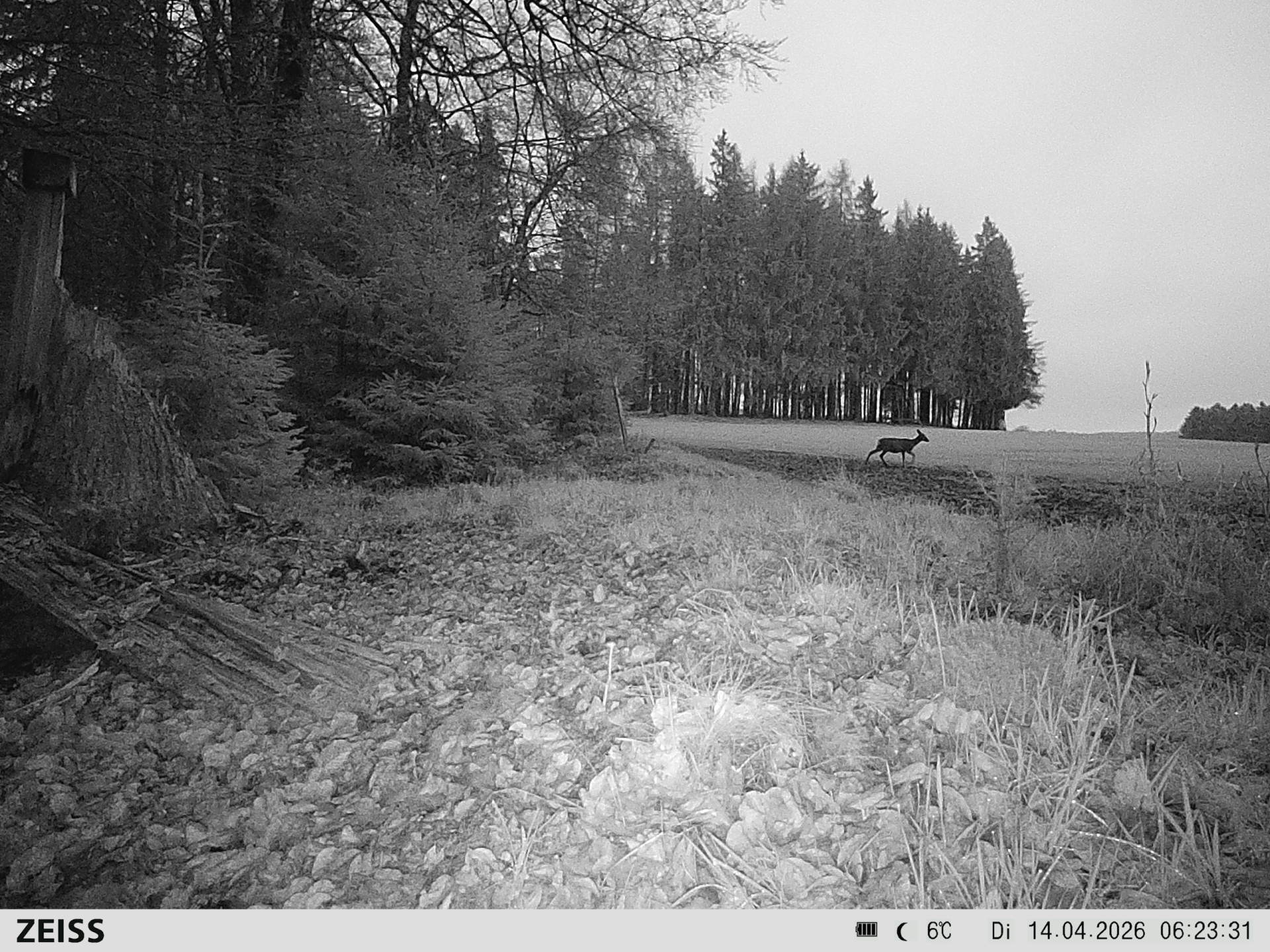 DEF Salzlecke