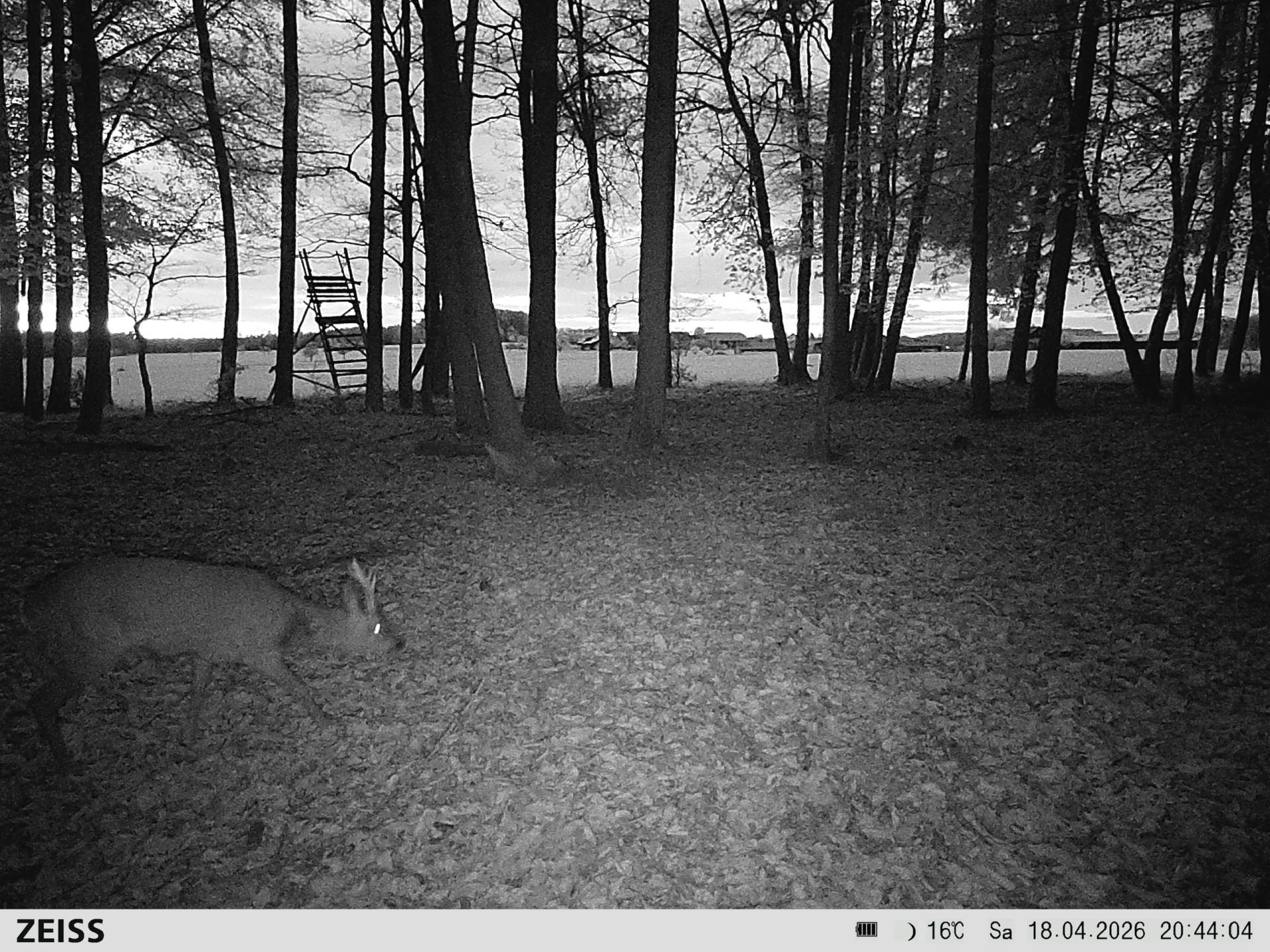 Langer Morgen Salzlecke