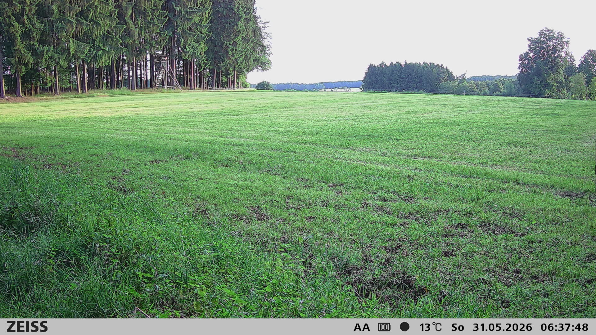 DEF Salzlecke