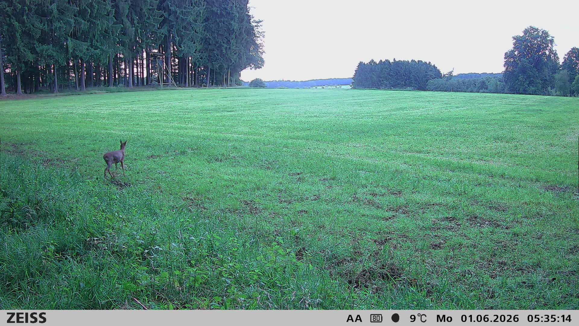 DEF Salzlecke