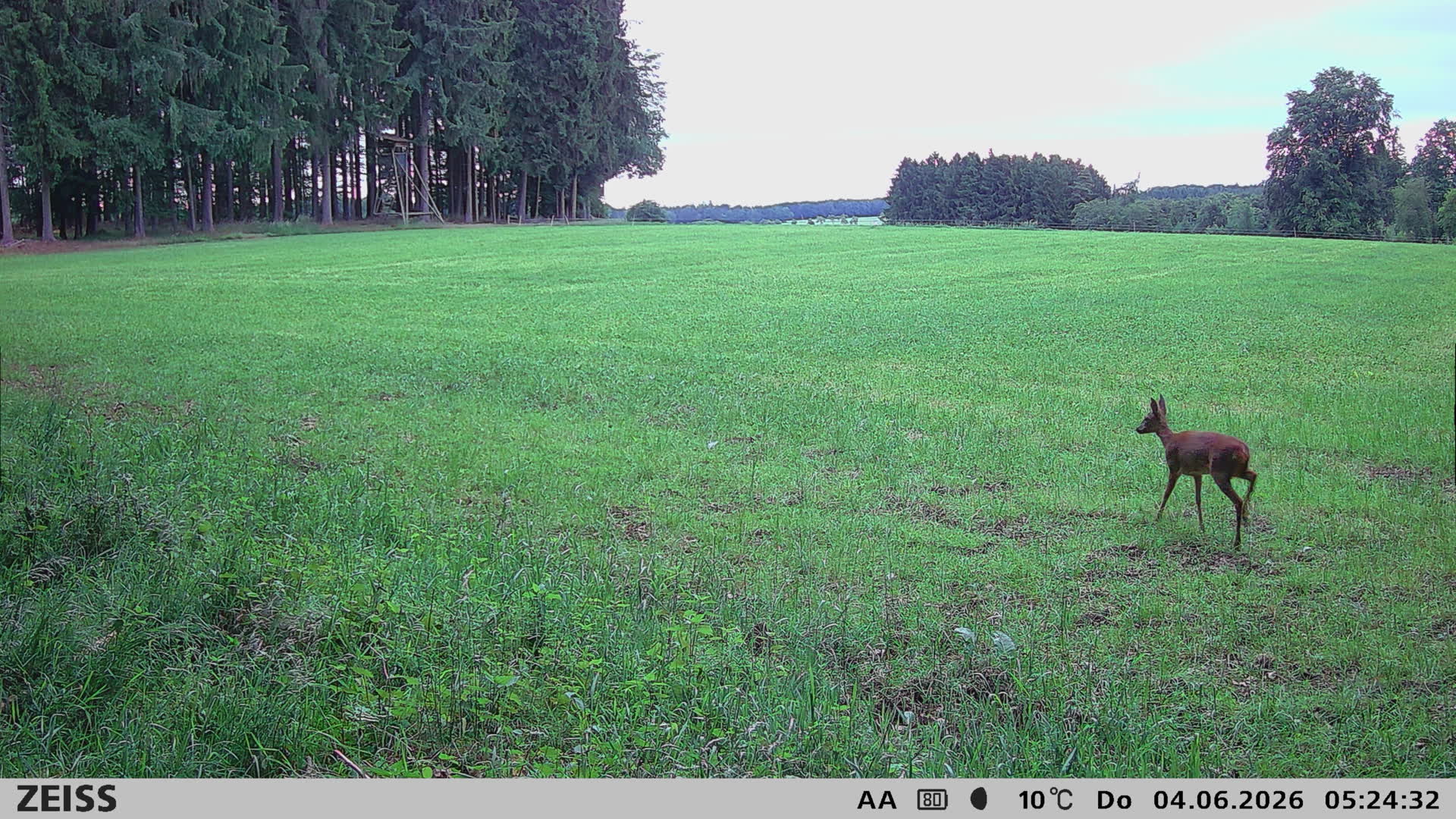 DEF Salzlecke