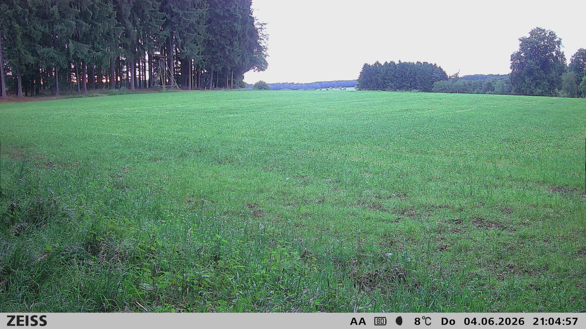 DEF Salzlecke