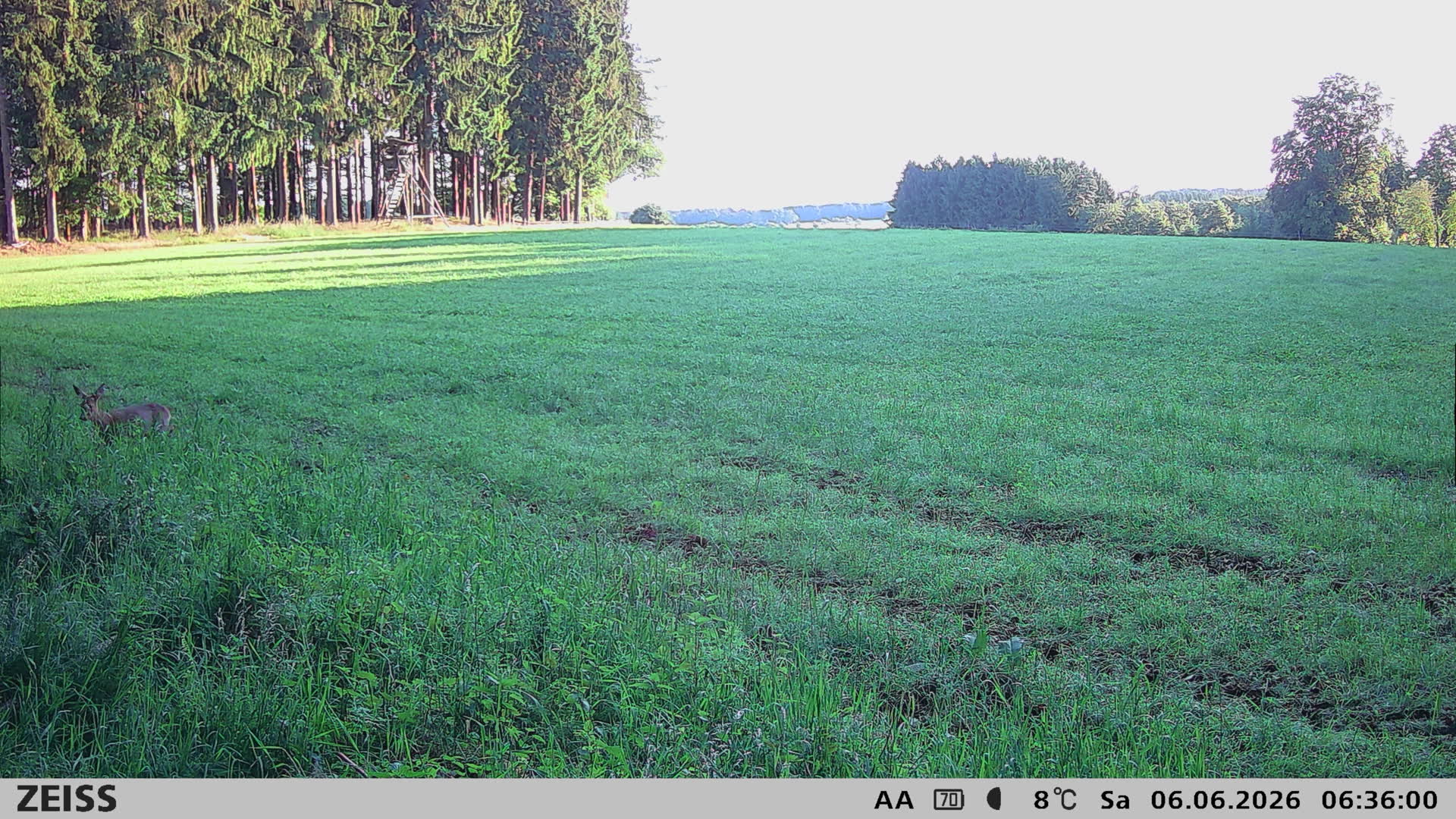DEF Salzlecke