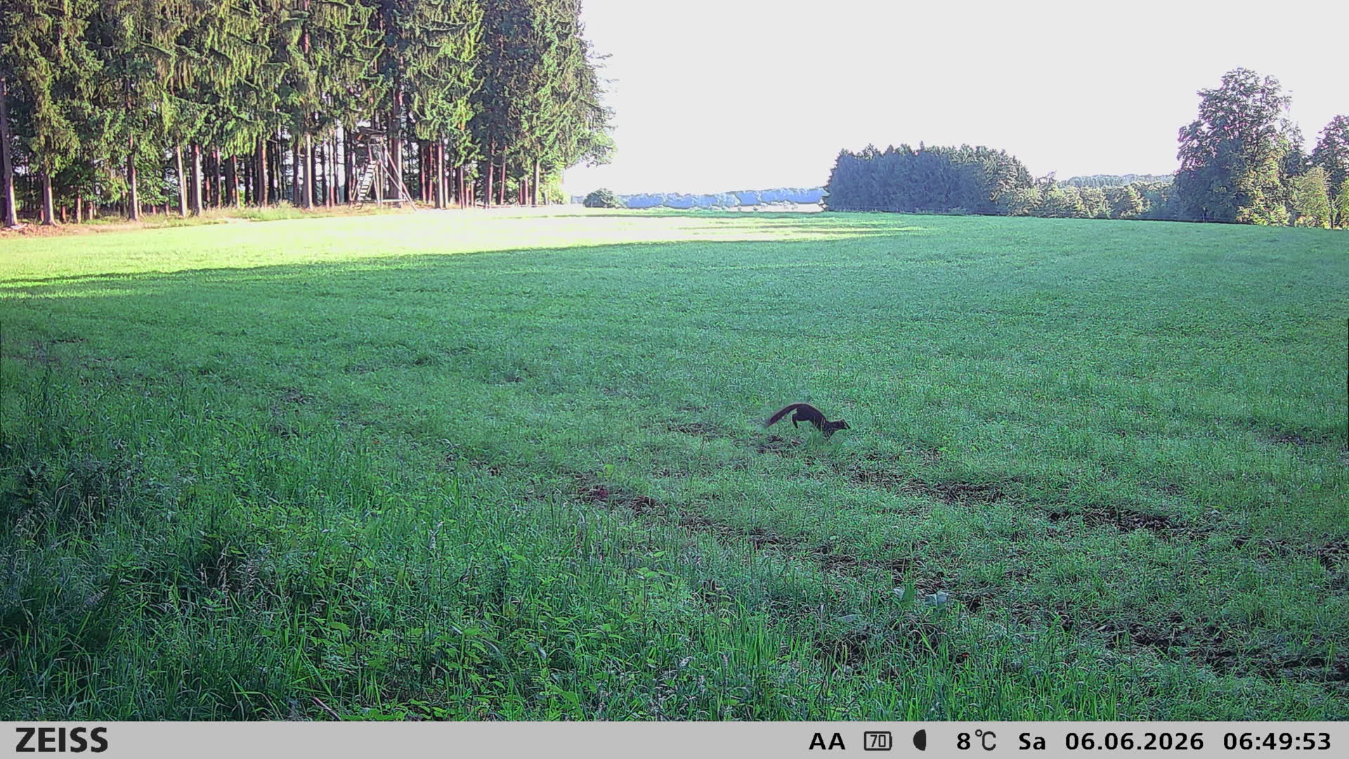 DEF Salzlecke