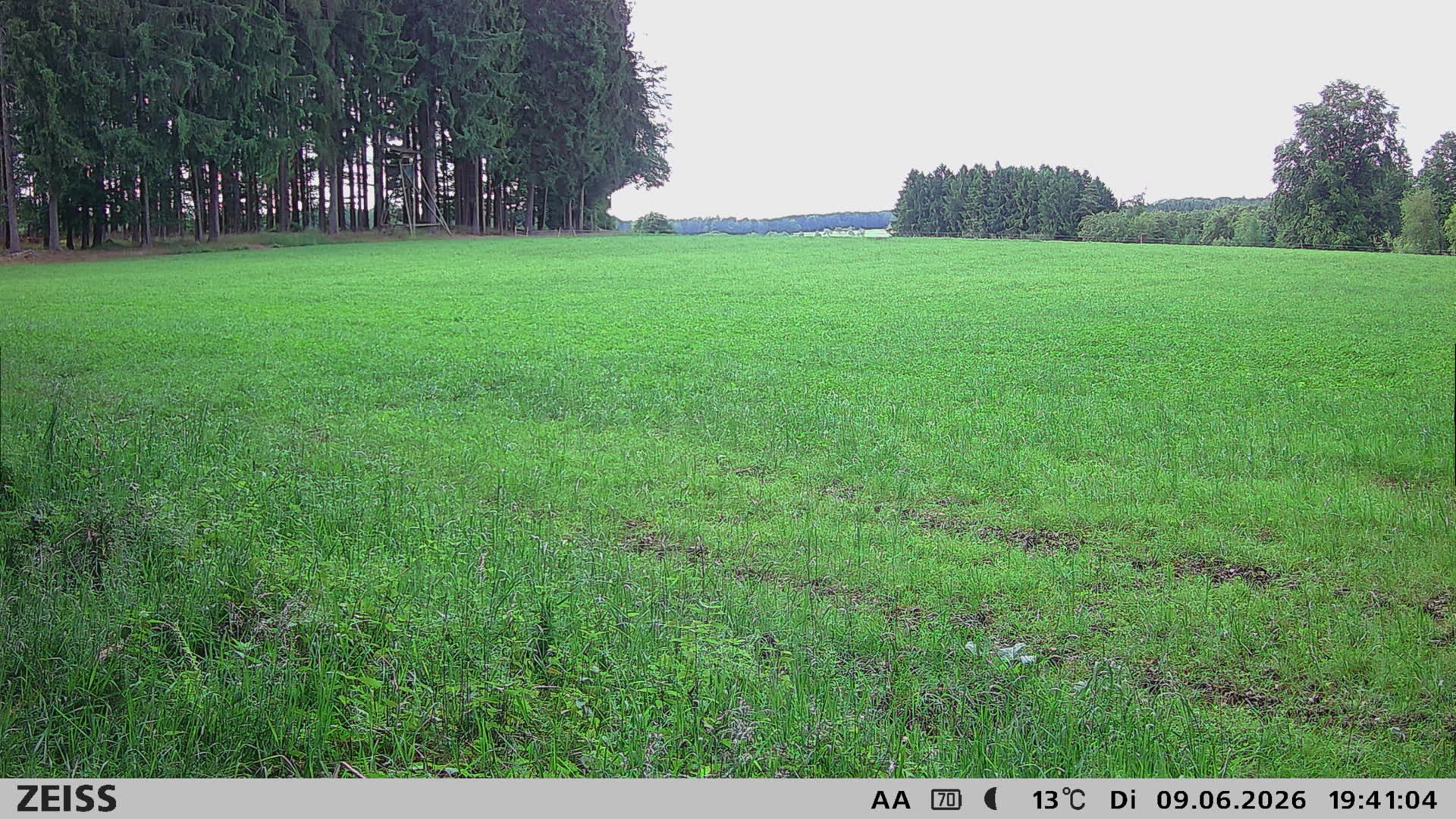 DEF Salzlecke