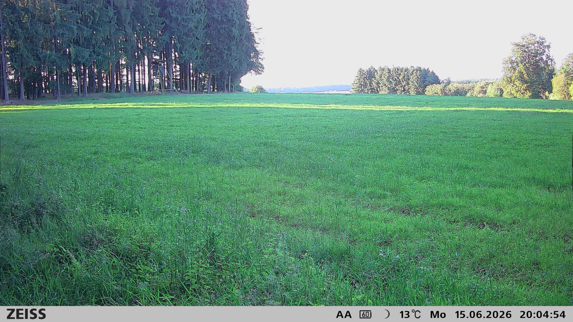 DEF Salzlecke