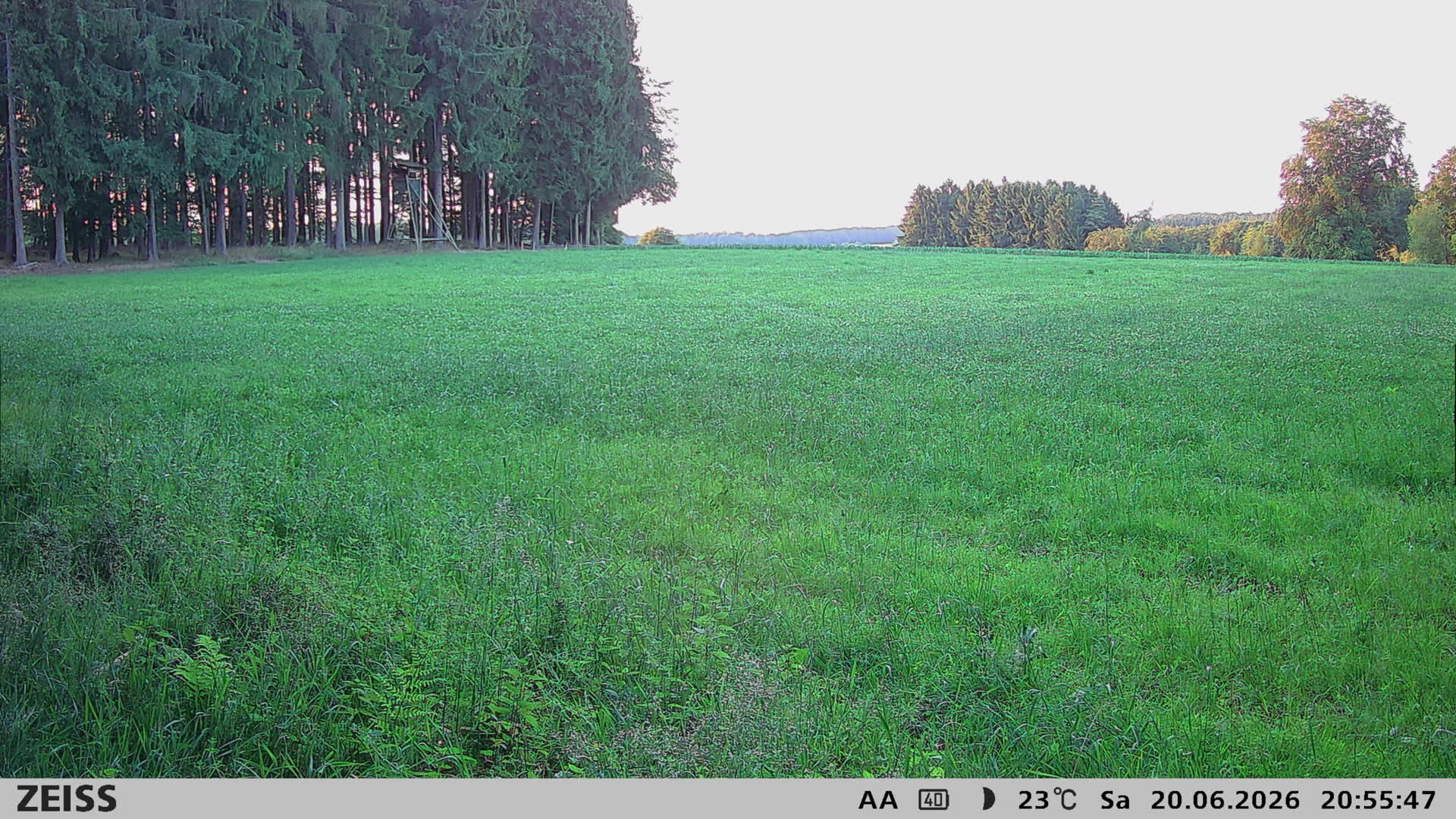 DEF Salzlecke