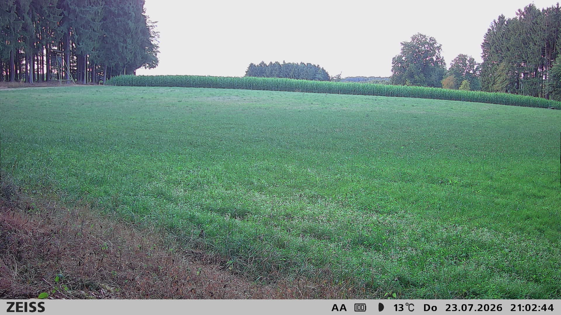 DEF Salzlecke
