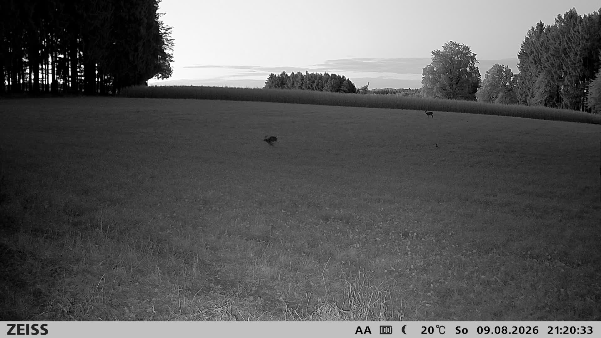 DEF Salzlecke