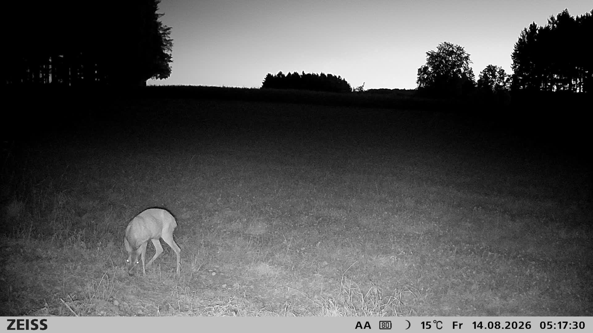 DEF Salzlecke