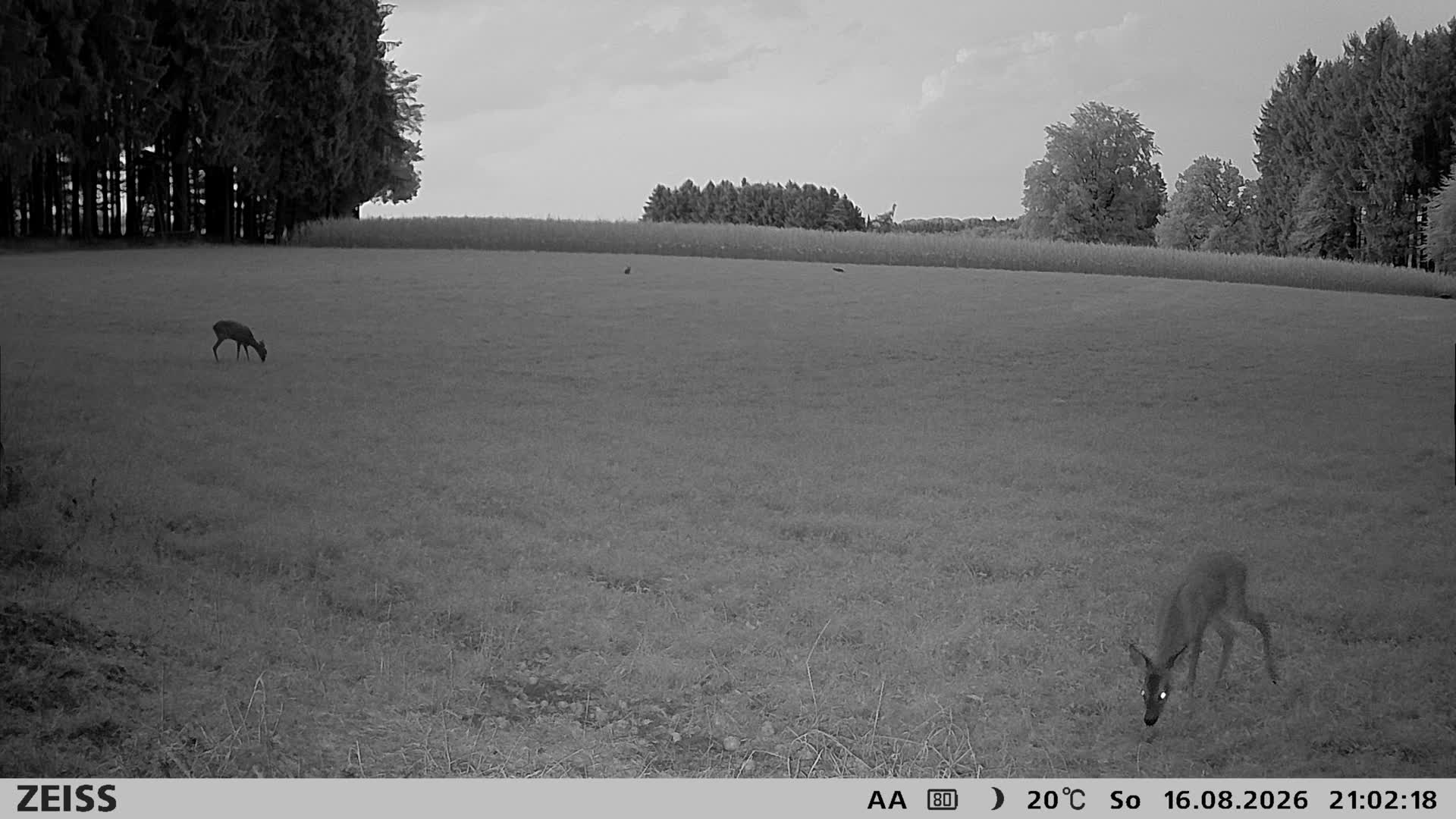 DEF Salzlecke