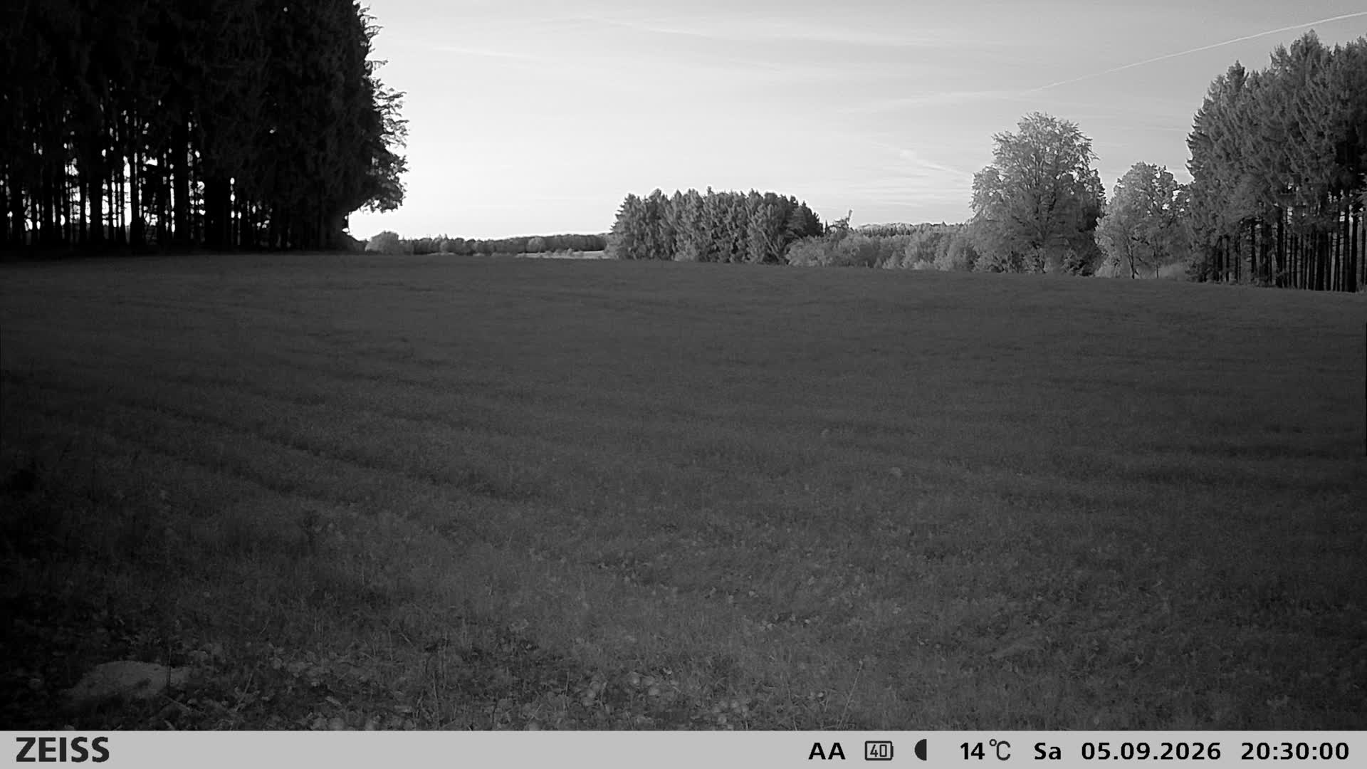 DEF Salzlecke