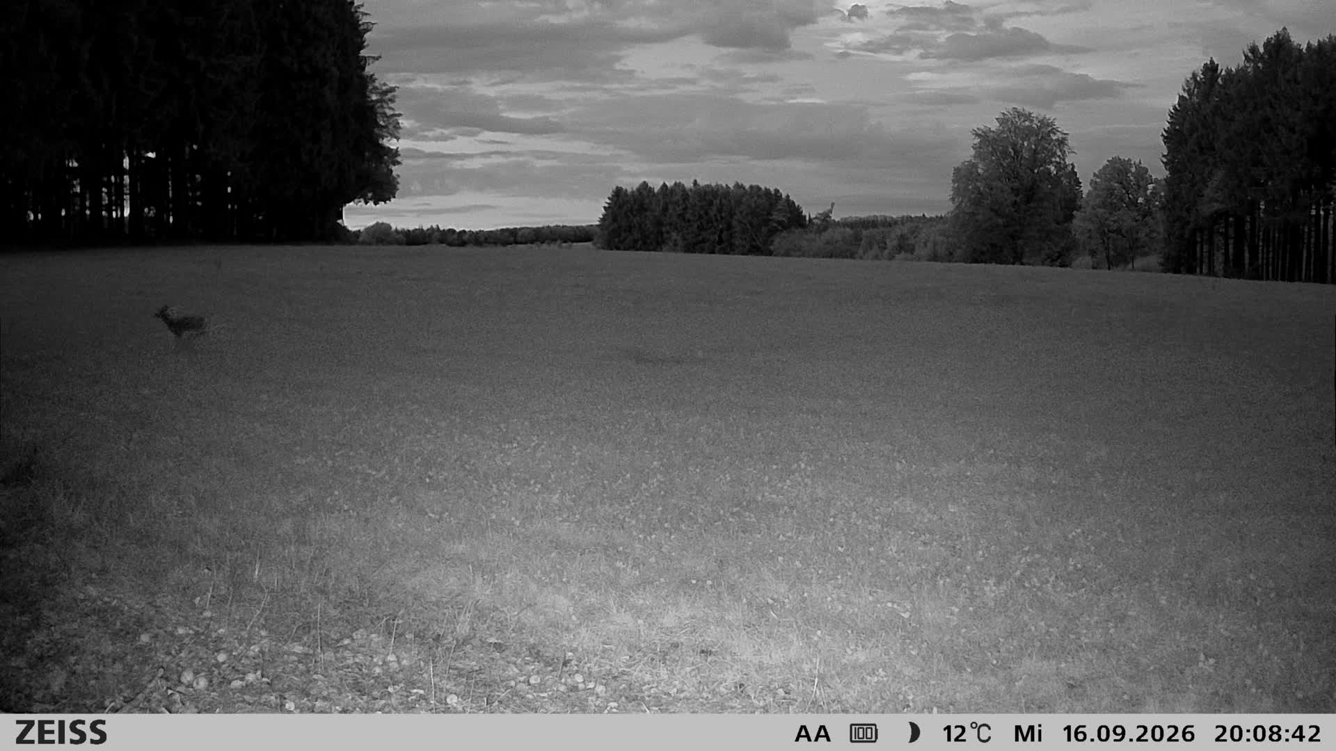 DEF Salzlecke